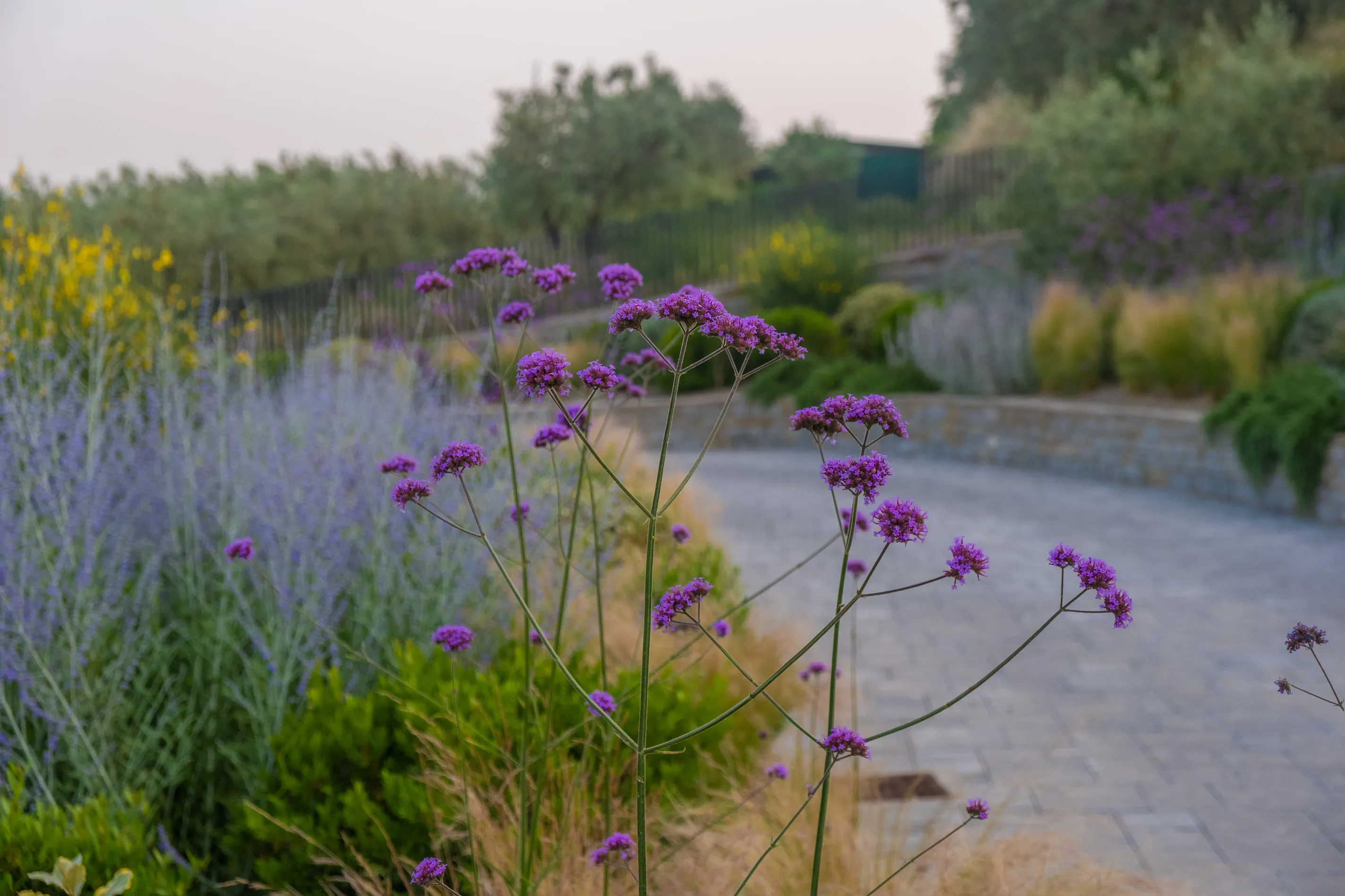 Giardino naturalistico progettato da Francesco Pascucci